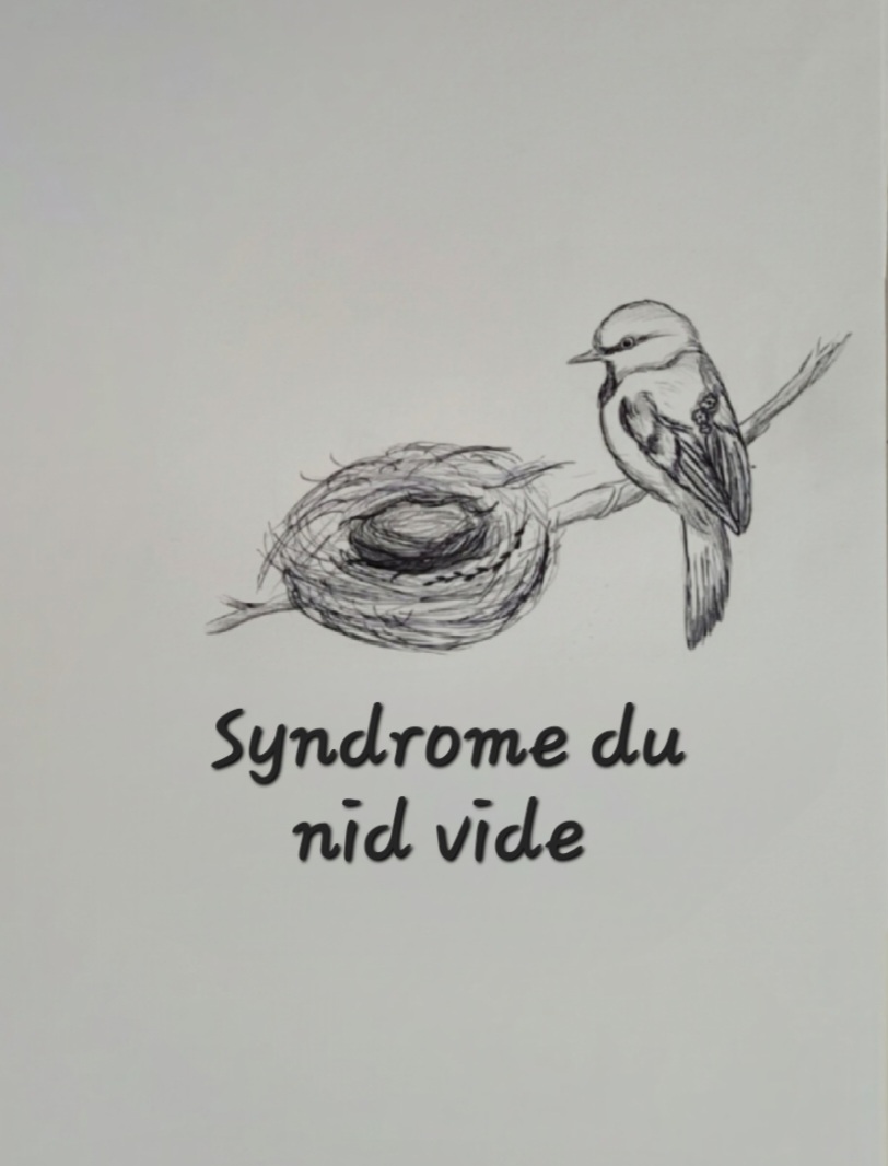 accompagnement personnel, accompagnement individuel, thérapie courte, bilan de vie, changement de vie, consultant en développement personnel, coach confiance en soi, améliorer estime de soi, vaincre timidité, coach gestion du stress, gestion des émotions, burn-out accompagnement, coach réalisation d'objectifs, atteindre ses objectifs, trouver sa voie, améliorer communication, relations interpersonnelles, gestion des conflits, coach bien-être, mieux-être, tarif coach de vie Bordeaux, meilleur coach de vie avis, coaching pour manque de motivation, programme pour reprendre confiance en soi