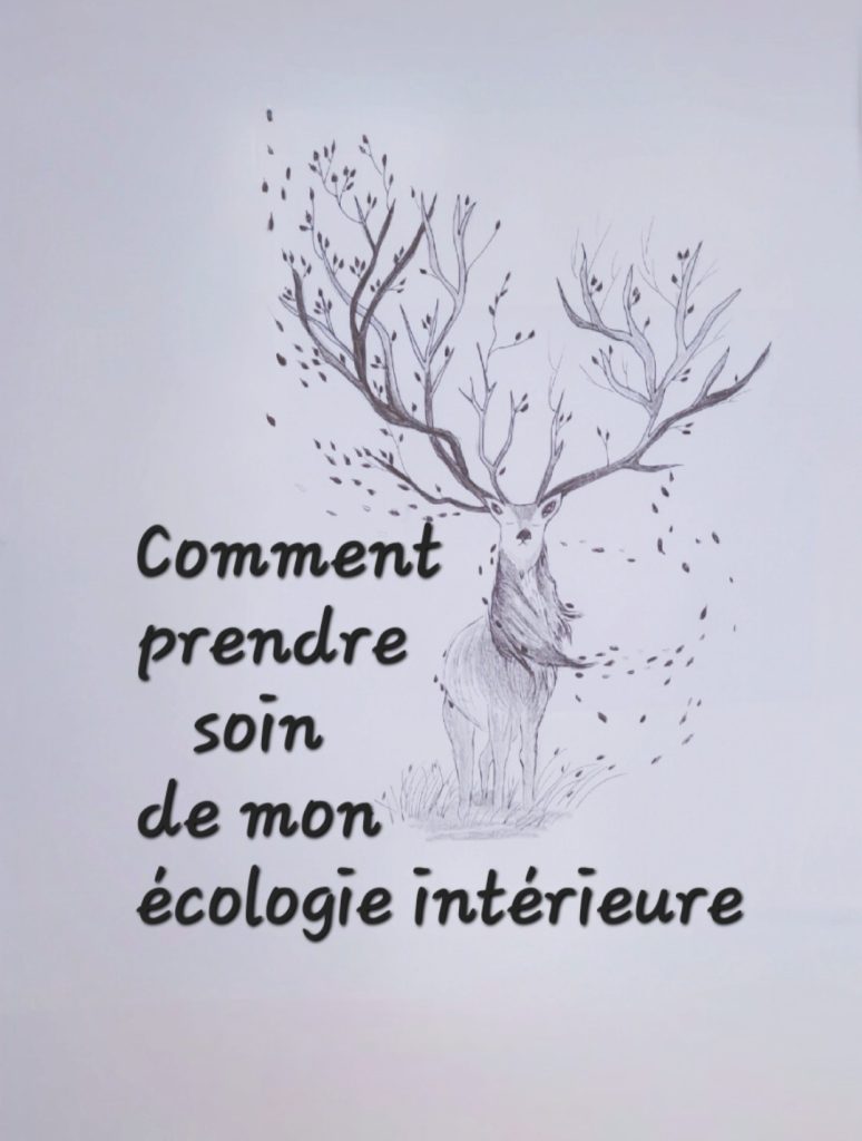 accompagnement personnel, accompagnement individuel, thérapie courte, bilan de vie, changement de vie, consultant en développement personnel, coach confiance en soi, améliorer estime de soi, vaincre timidité, coach gestion du stress, gestion des émotions, burn-out accompagnement, coach réalisation d'objectifs, atteindre ses objectifs, trouver sa voie, améliorer communication, relations interpersonnelles, gestion des conflits, coach bien-être, mieux-être, tarif coach de vie Bordeaux, meilleur coach de vie avis, coaching pour manque de motivation, programme pour reprendre confiance en soi