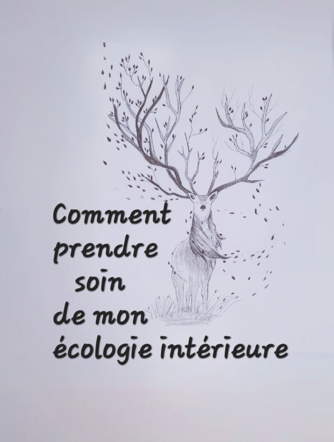 accompagnement personnel, accompagnement individuel, thérapie courte, bilan de vie, changement de vie, consultant en développement personnel, coach confiance en soi, améliorer estime de soi, vaincre timidité, coach gestion du stress, gestion des émotions, burn-out accompagnement, coach réalisation d'objectifs, atteindre ses objectifs, trouver sa voie, améliorer communication, relations interpersonnelles, gestion des conflits, coach bien-être, mieux-être, tarif coach de vie Bordeaux, meilleur coach de vie avis, coaching pour manque de motivation, programme pour reprendre confiance en soi